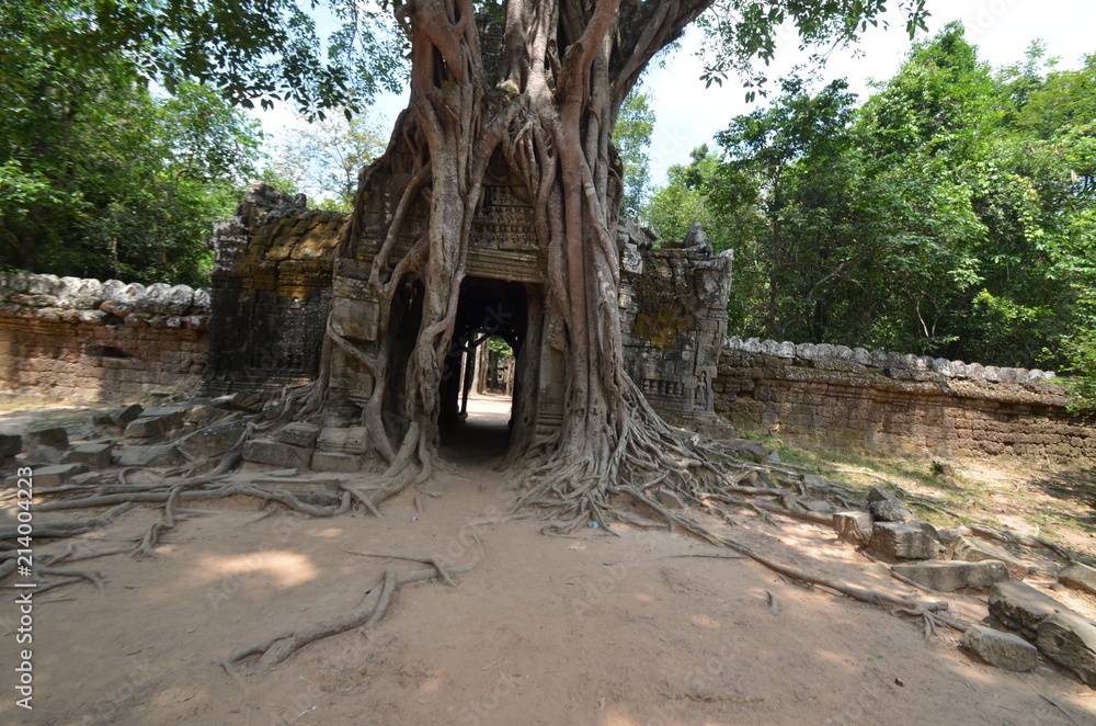 Wall mural cambodia ancient hindu temple angkor ruins stone asia