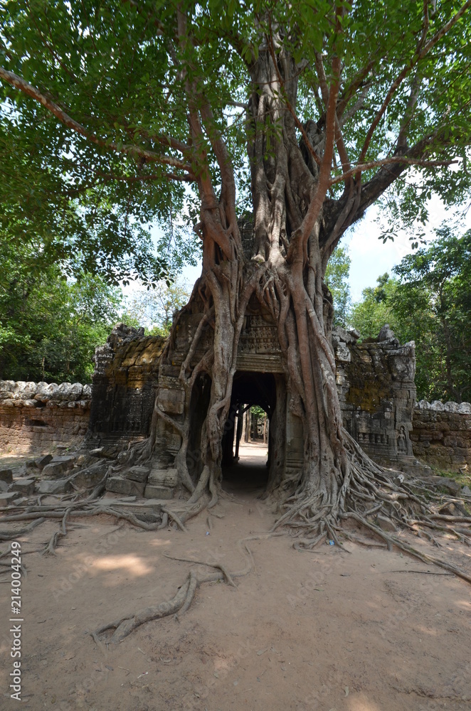 Canvas Prints cambodia ancient hindu temple angkor ruins stone asia