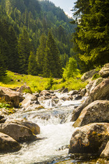 Mountain river in the forest of the Alps, against the background of coniferous forest and mountains in a sunny sunny day