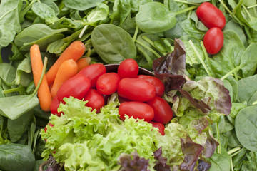 Many Fresh spinach leaves, carrots, small cherry tomatoes, green salad leaves. Vitamins and health in food. Free space for text. Copy space