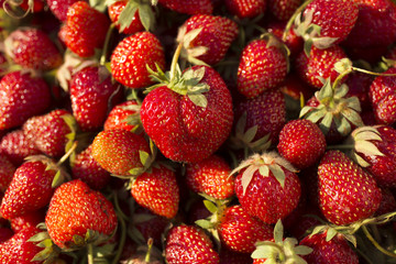 Ripe strawberries. A lot of ripe berries. Delicious vegan dessert.
