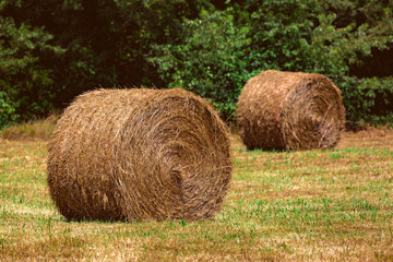 Bales of hay