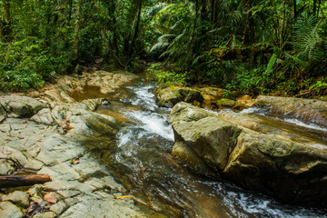 Naklejka na ściany i meble Waterfall in the forest phuket Thailand. Tropical zone