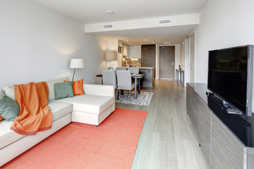 Modern apartment interior in Seattle, USA