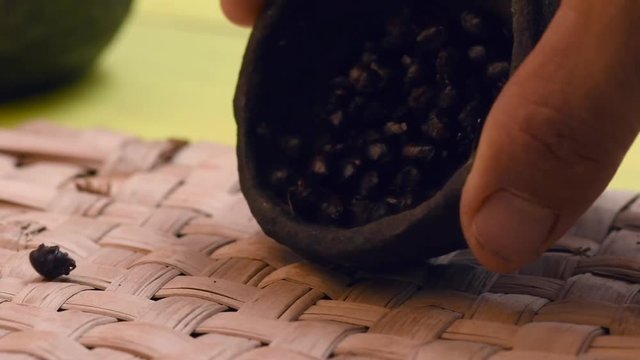 Pouring cup of toasted ants on mat