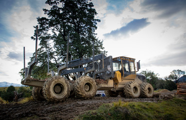 Heavy yellow logging machinery used at a logging and forestry site
