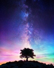 Starry Night  - Lonely Tree With Milky Way - obrazy, fototapety, plakaty