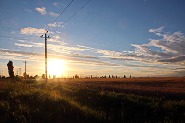 Природа Украины- вид поля пшеницы и берега Черного моря, вечер, заход солнца. Лето 2018   © masterskuz55