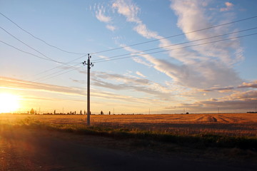 Природа Украины- вид поля пшеницы и берега Черного моря, вечер, заход солнца. Лето 2018   © masterskuz55