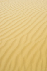 texture of sand on the dunes around the sea