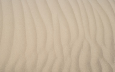 Obraz premium texture of sand on the dunes around the sea