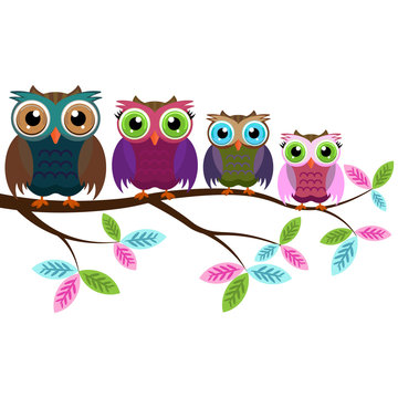 four colorful owls on a branch