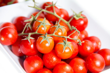 Cherry tomatoes on square plate on a white background seen close up