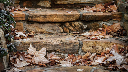 Autumn Leaves on Stone Steps