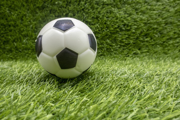 Fototapeta na wymiar Football is on green grass