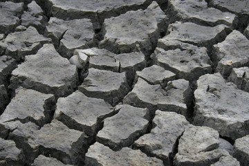 Drought Stone