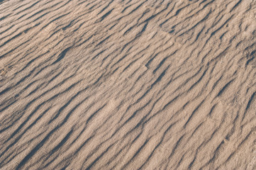 Sand texture. Sandy crests with shadows from the setting sun. Dunes.