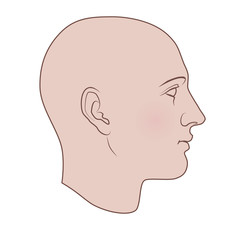 Hand drawn androgynous, gender-neutral human head in profile. Flat vector isolated on white background.