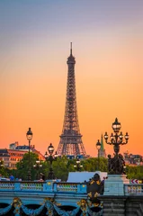 Wall murals Pont Alexandre III Sunset view of  Eiffel Tower and Alexander III Bridge in Paris, France.