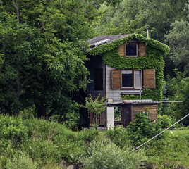 Fototapeta na wymiar Tree House on the Danube River