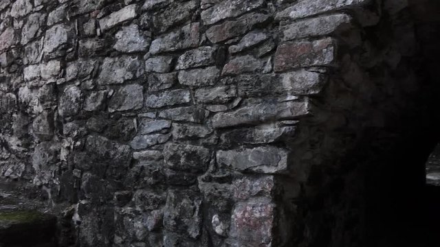 Mexican Mayan Temple of Coba