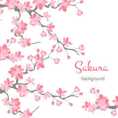 Branches with pink flowers and cherry buds. Sakura. Petals flying in the wind. isolated on white background. vector illustration