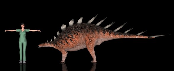 恐竜縮尺図・ケントロサウルス