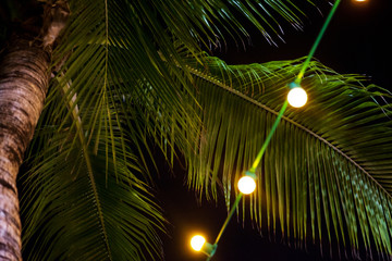 Palm tree leaves  and a string of lights against the night sky. Tropical party fun background with copy space