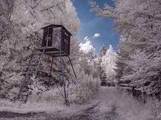 infrared photography - ir photo of landscape under sky with clouds - the art of our world in the...