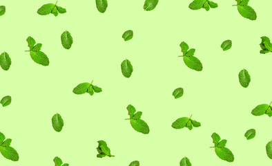Green mints on a pastel green background