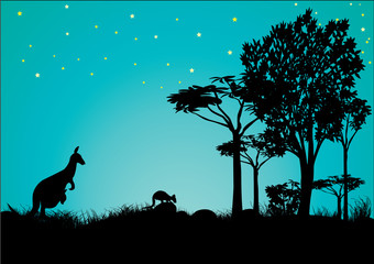 silhouette of kangaroo with blue sky and stars
