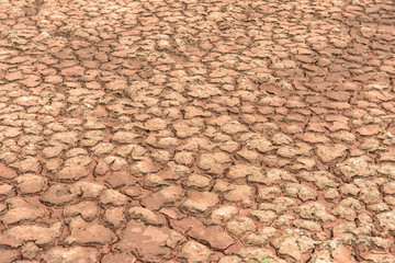 Land with dry and cracked ground.