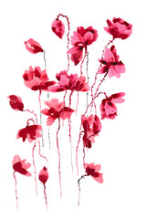 Red stylized watercolor poppies on white background, hand painted