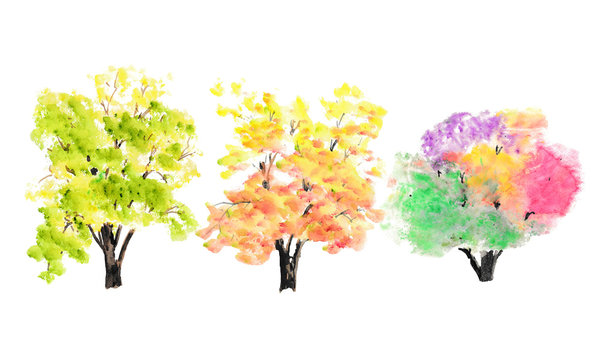 Collection of three trees on white background, watercolor illustrator