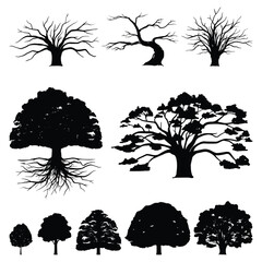 Oak Tree Silhouette Illustration Detail and Natural