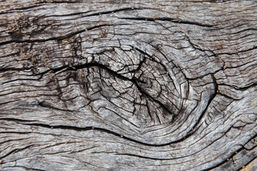 Old wood surface weathering