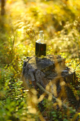 herbal  tincture of medicinal herbs in a square glass bottle on a stump in an autumn forest in bright sunlight.magic potion.Homeopathy and alternative medicine