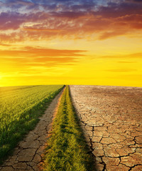 Dry country with cracked soil and meadow with grass at sunset. Concept of change climate or global warming.