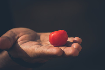 Small tomato in hand