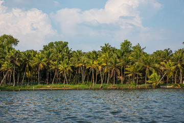 Fototapeta na wymiar Nature in Kerala