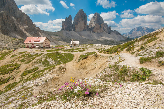 Splendida veduta delle Tre Cime di Lavaredo e del rifugio Locatelli con i fiori in primo piano