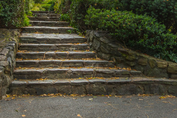 Rock stairs in Central Park, New York City