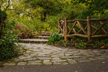 Shakespeare garden path in Central Park, New York City