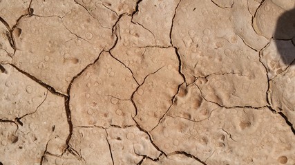 cracked dry desert mud 
