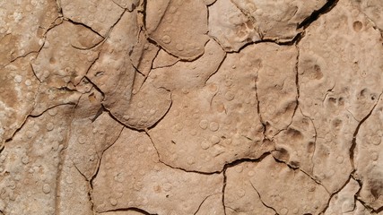 mud cracked from the sun