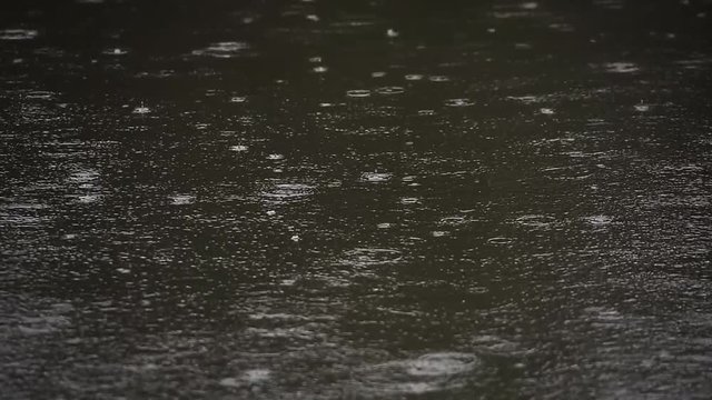 closeup footage raining on water surface