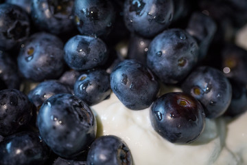Blaubeeren mit Joghurt