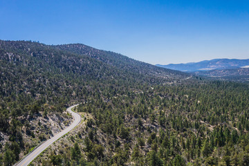 Road lies hidden beneath the pine trees on a mountainside in California hills.