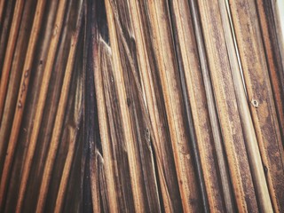 Beautiful of dried coconut leaves