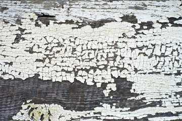 white wood texture background.